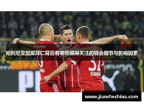 帕利尼亚加盟拜仁背后有哪些值得关注的转会细节与影响因素
